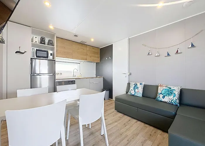 Mobil-home Grand Confort: 2 Ch, Piscine, A 200m, Parking, Wifi - Fr-1-361a-96 *